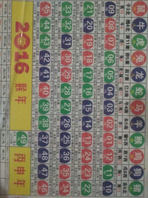 十二生肖與49碼表的奇妙結(jié)合，十二生肖與49碼表的神秘交融