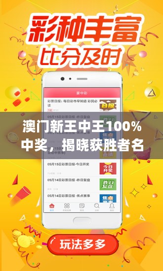 新澳門王中王期期中的奧秘與探索，澳門王中王期期奧秘揭秘與深度探索