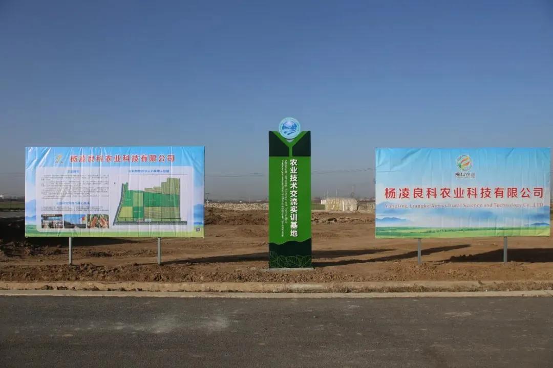 登海種業(yè)最新公告解析，登海種業(yè)最新公告深度解讀