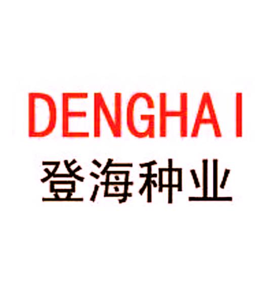 登海種業(yè)，探索農(nóng)業(yè)科技的先鋒力量，登海種業(yè)，引領(lǐng)農(nóng)業(yè)科技探索之旅