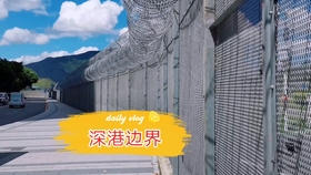 澳門鐵盤算盤網(wǎng)——探索數(shù)字時(shí)代的智慧之選，澳門鐵盤算盤網(wǎng)，數(shù)字時(shí)代的智慧投資探索