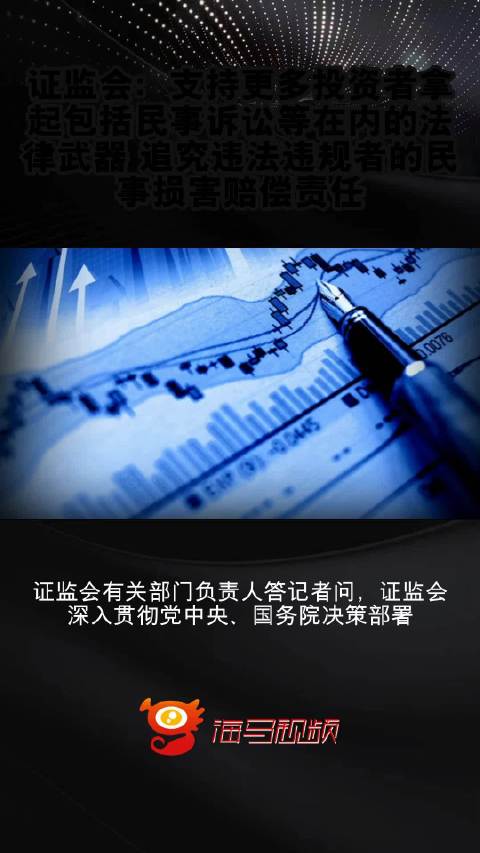 證監(jiān)會(huì)支持投資者追討損失，保障權(quán)益，重塑市場(chǎng)信心，證監(jiān)會(huì)積極行動(dòng)，保障投資者權(quán)益，重塑市場(chǎng)信心，支持投資者追討損失