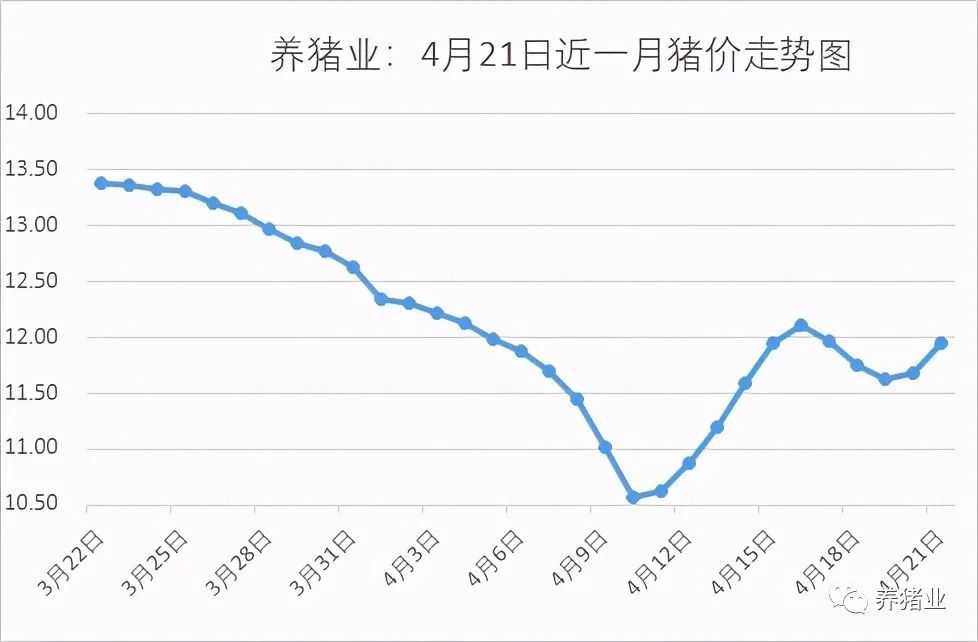 生豬價格下跌原因新解析，生豬價格下跌原因深度解析