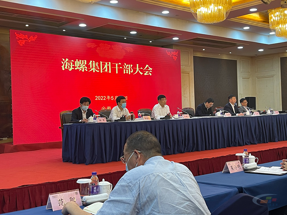 海螺集團的級別解析，一家多元化發(fā)展的企業(yè)巨頭，海螺集團，多元化發(fā)展的企業(yè)巨頭級別深度解析