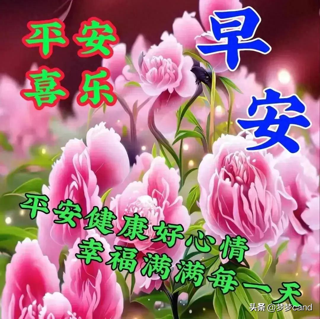 2024天天彩正版資料大全——探索彩票世界的寶藏之門，彩票秘籍揭秘，探索寶藏之門——天天彩正版資料大全 2024版