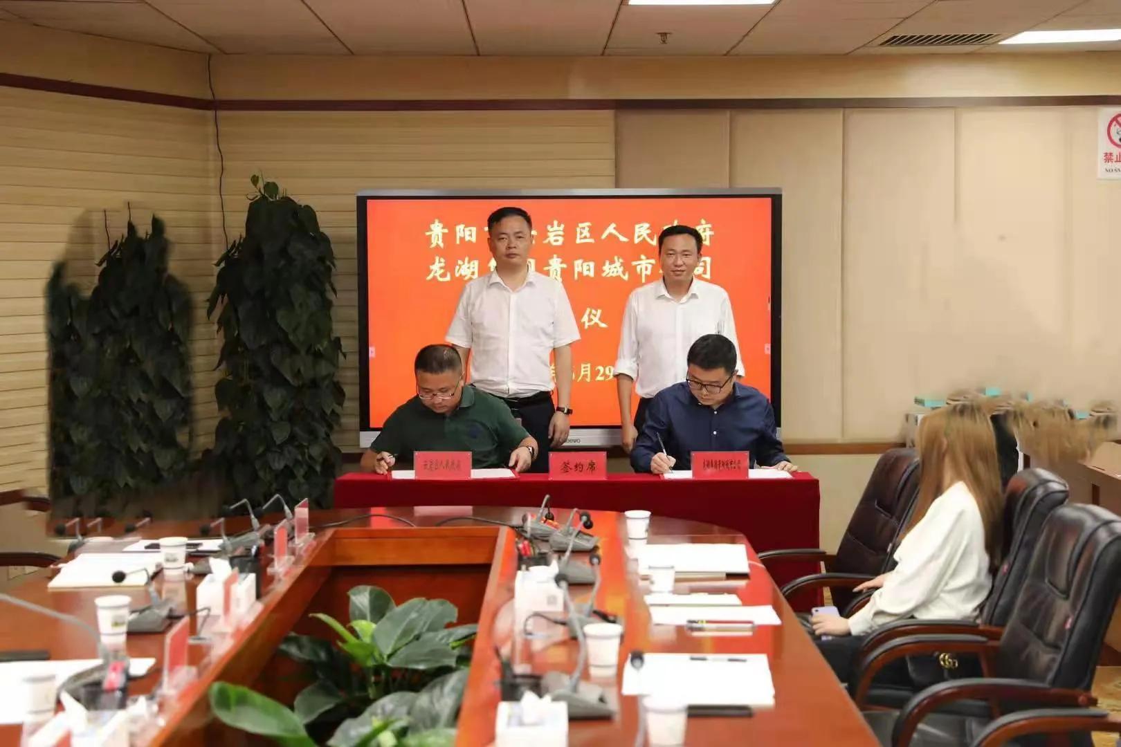 龍湖集團(tuán)所屬檔次深度解析，龍湖集團(tuán)所屬檔次全面解析