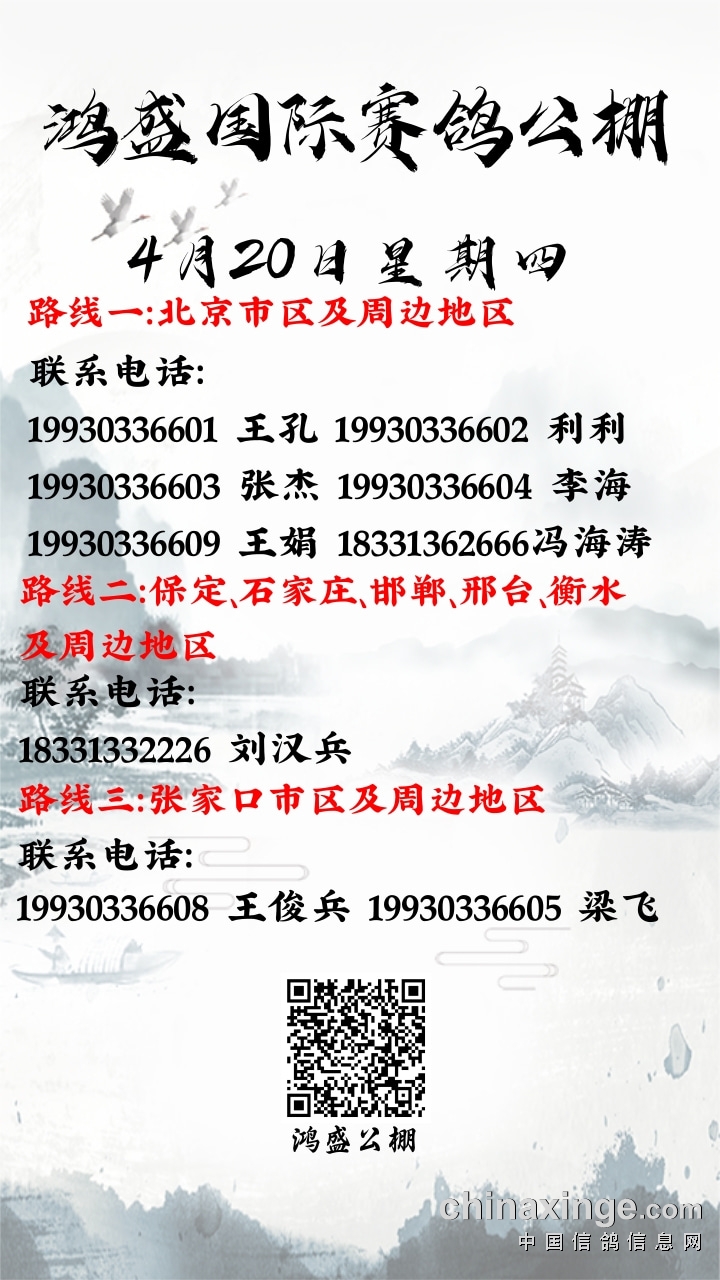 國盛公棚最新公告詳解，國盛公棚最新公告全面解析