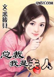 夫人至上，最新章節(jié)的深度解讀，夫人至上，最新章節(jié)深度解讀與賞析