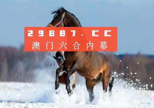 澳門一肖一碼一必中一肖同舟前進——探尋命運之碼的奧秘，澳門命運之碼探尋，一肖一碼一必中，同舟前進的奧秘