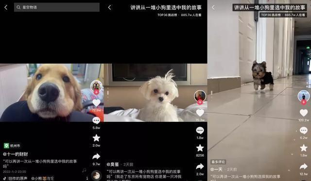 陌陌下載2023，探索社交的新紀元，陌陌下載2023，開啟社交新紀元探索之旅