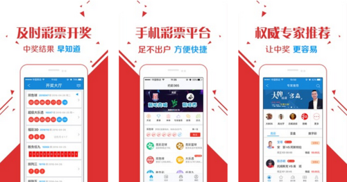 王中王玄機網(wǎng)一肖中特，探索與解析，王中王玄機網(wǎng)一肖中特，深度探索與解析