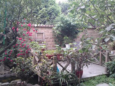 女性花園九型圖哪個(gè)好——深度解析與對(duì)比，女性花園九型圖深度解析與對(duì)比，哪個(gè)更好？