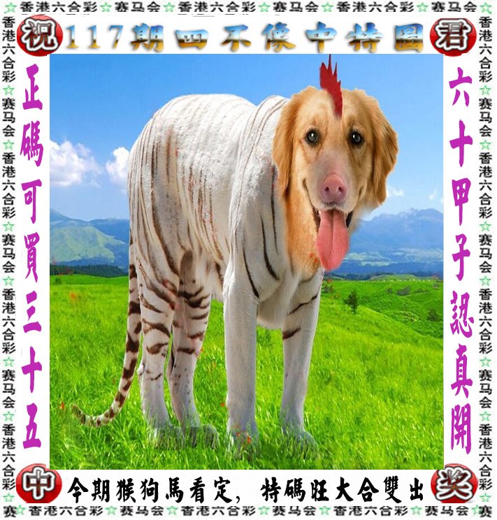 探索神秘，四不像一肖圖王中王的獨(dú)特魅力，四不像一肖圖王中王，神秘魅力的獨(dú)特探索