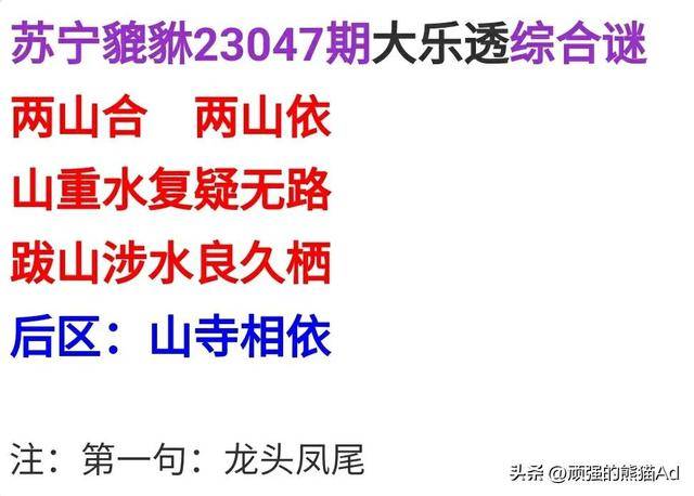 關(guān)于四肖期期準一王中王論壇的探討——警惕背后的違法犯罪風險，四肖期期準一王中王論壇背后的風險，警惕違法犯罪陷阱探討
