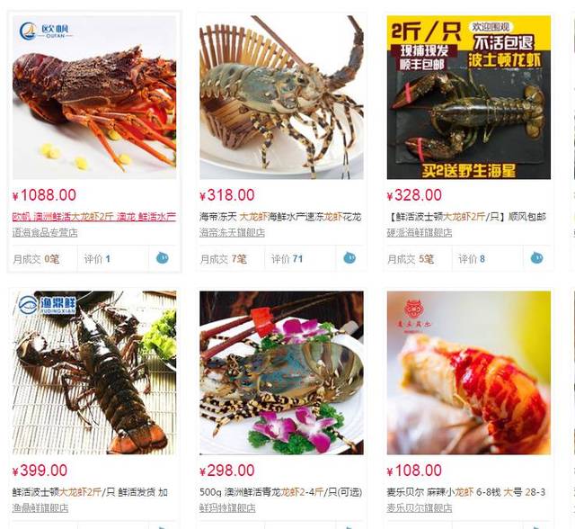 王中王368期指一生肖，探尋背后的文化奧秘，探尋生肖文化奧秘，王中王368期揭秘生肖之謎