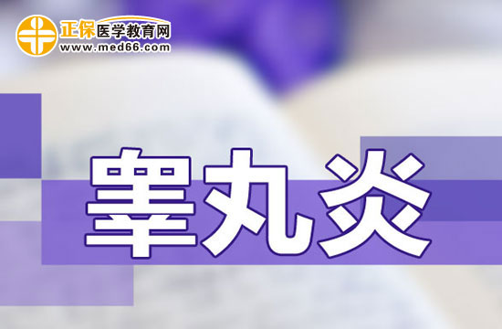 睪丸炎的癥狀表現(xiàn)及其影響，睪丸炎的癥狀表現(xiàn)及其影響與后果