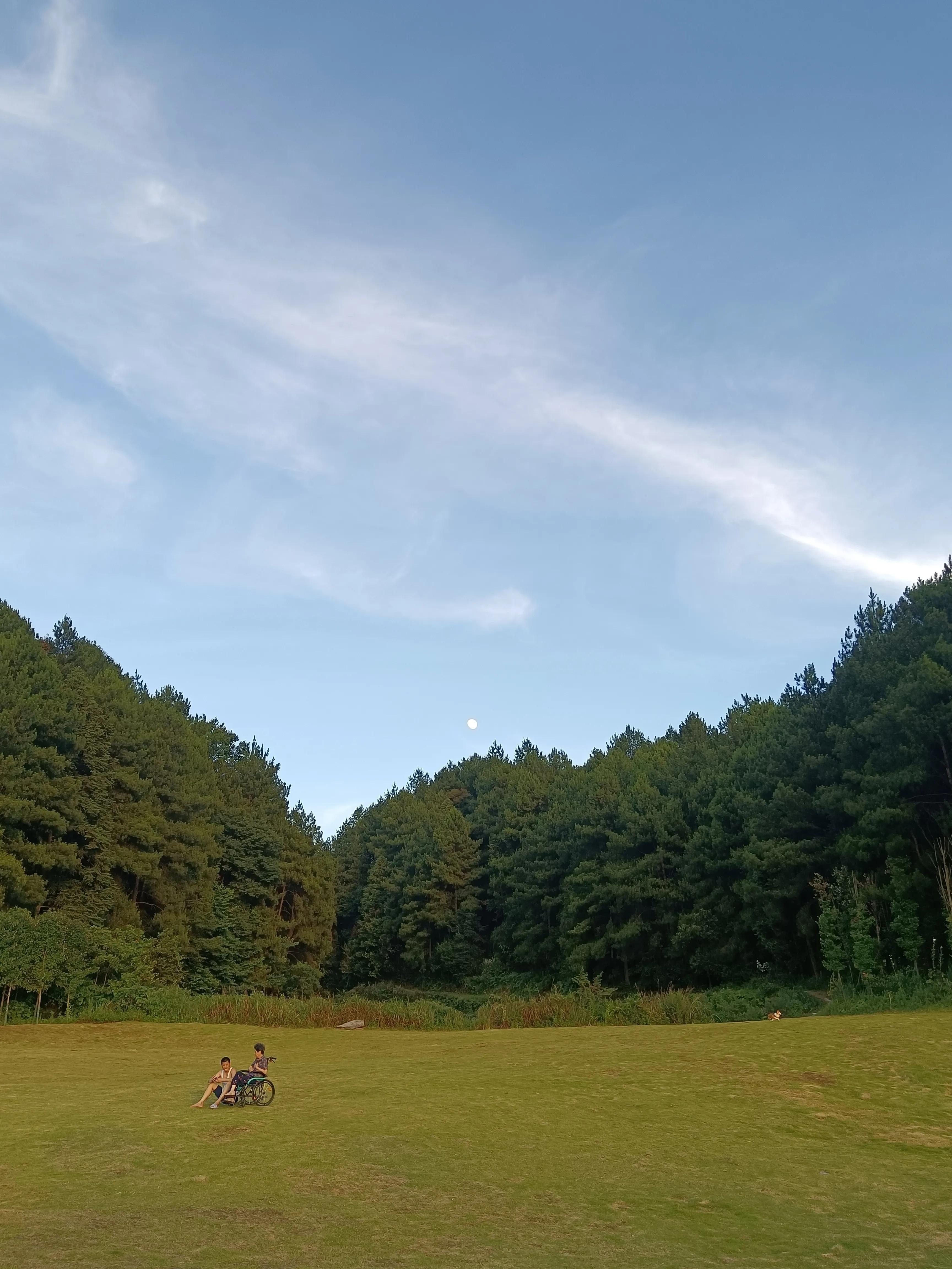 重慶的魅力與獨(dú)特之處，重慶的魅力與獨(dú)特風(fēng)情探秘