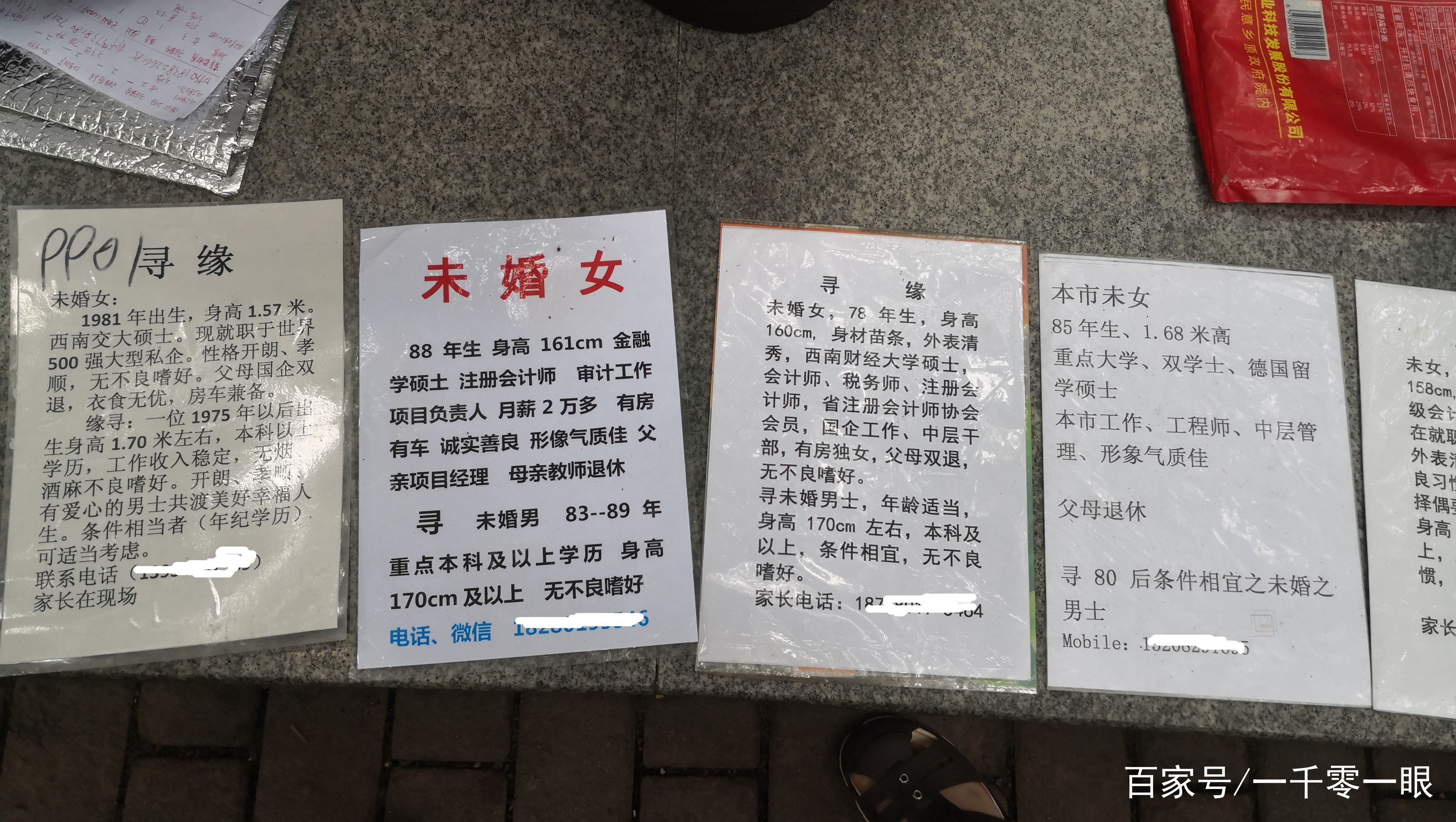 夜色中的貓 第12頁