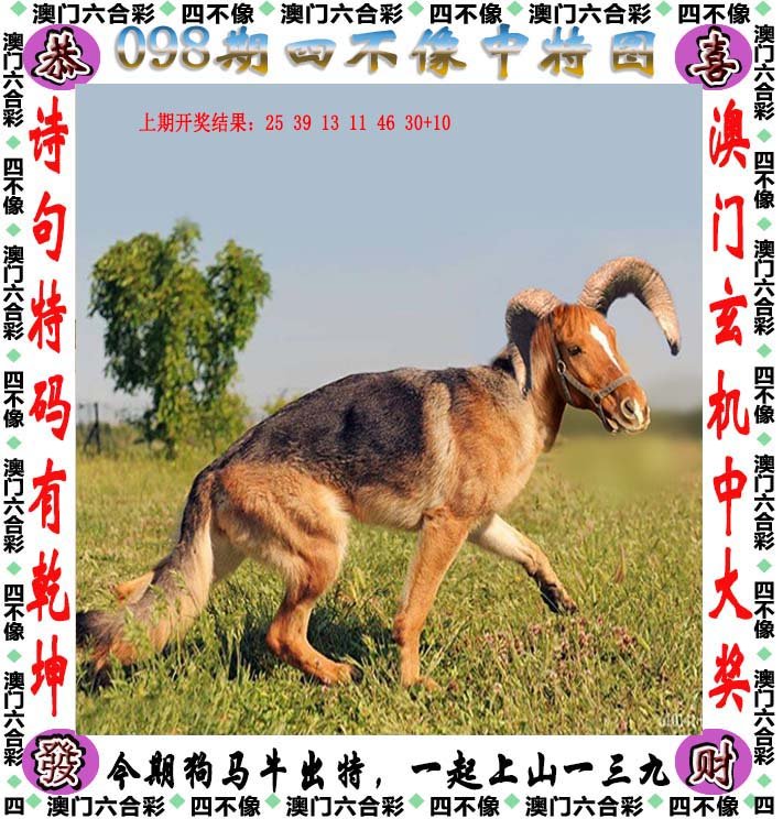 澳門今期正版四不像圖片探索之旅，澳門四不像圖片探索之旅揭秘