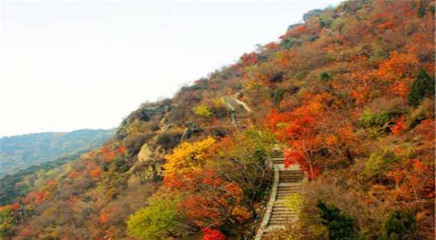 北京香山公園門票價(jià)格詳解，北京香山公園門票價(jià)格全解析