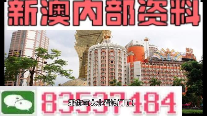 關(guān)于新澳門資料大全免費(fèi)的探討與警示——警惕違法犯罪問題，關(guān)于新澳門資料大全免費(fèi)的探討與警示，警惕違法犯罪風(fēng)險(xiǎn)