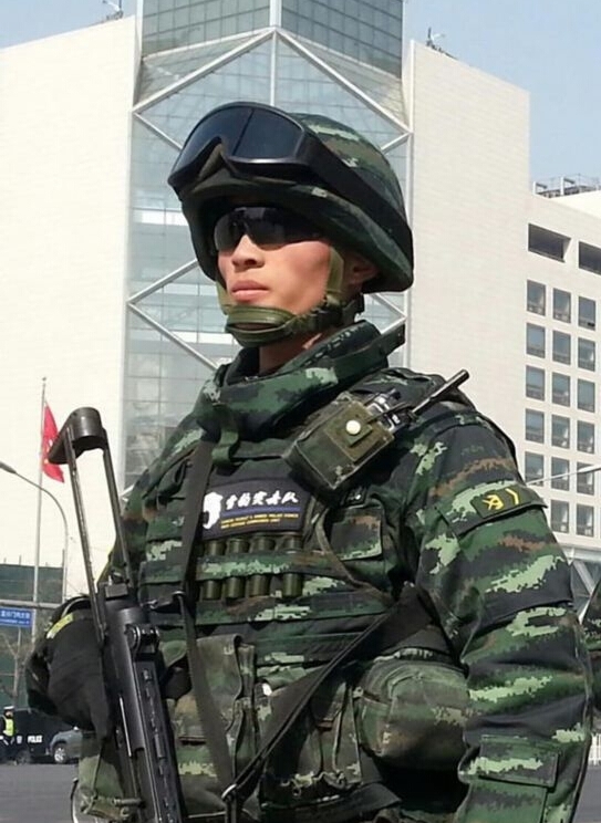 武警雪豹突擊隊(duì)，英勇無(wú)畏，守護(hù)安寧的先鋒力量，武警雪豹突擊隊(duì)，先鋒力量的英勇守護(hù)，安寧的守護(hù)者