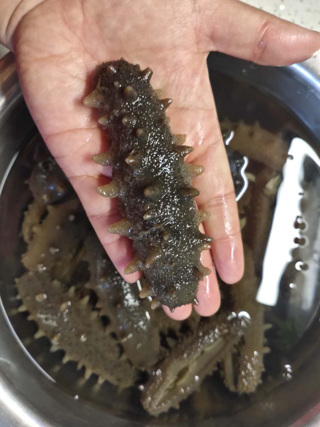 遠(yuǎn)方的星光 第12頁