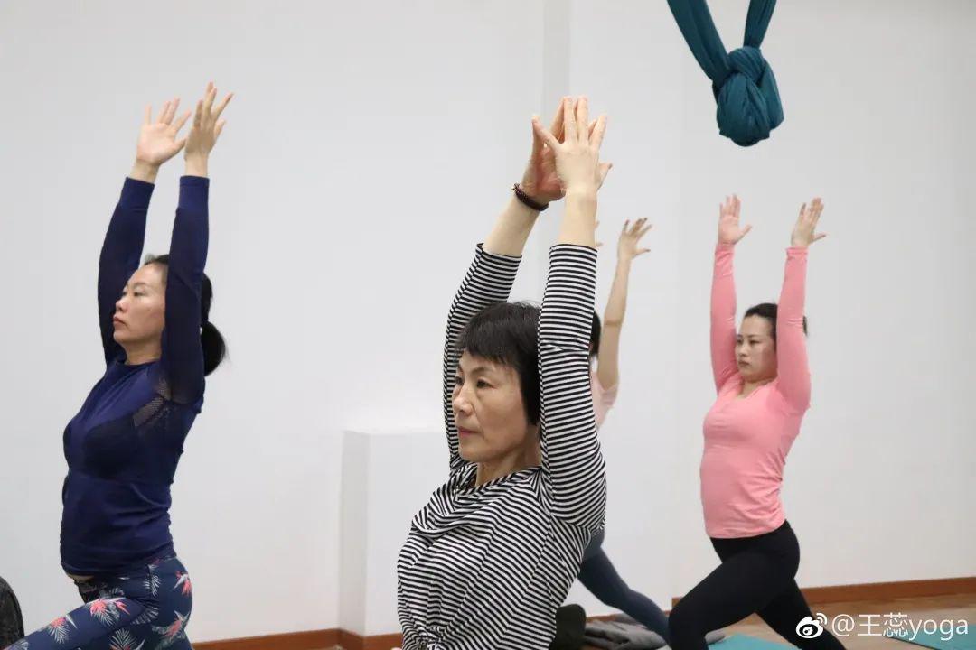 王蕊中老年瑜伽教學(xué)視頻，探索中老年健康生活的新路徑，王蕊中老年瑜伽教學(xué)，探索健康生活的全新路徑