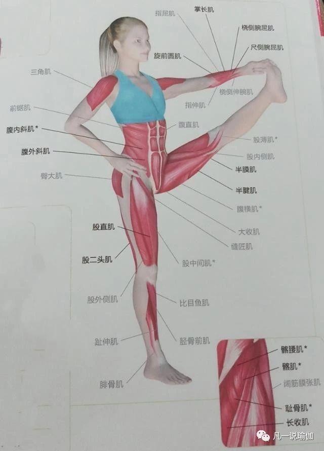 瑜伽課程費用詳解，一個月需要多少錢？，瑜伽課程費用全面解析，每月費用知多少？