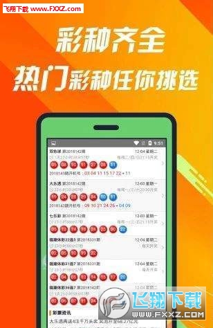 探索數(shù)字背后的故事，王中王一肖與數(shù)字493333的神秘聯(lián)系，王中王一肖與數(shù)字493333的神秘故事探索