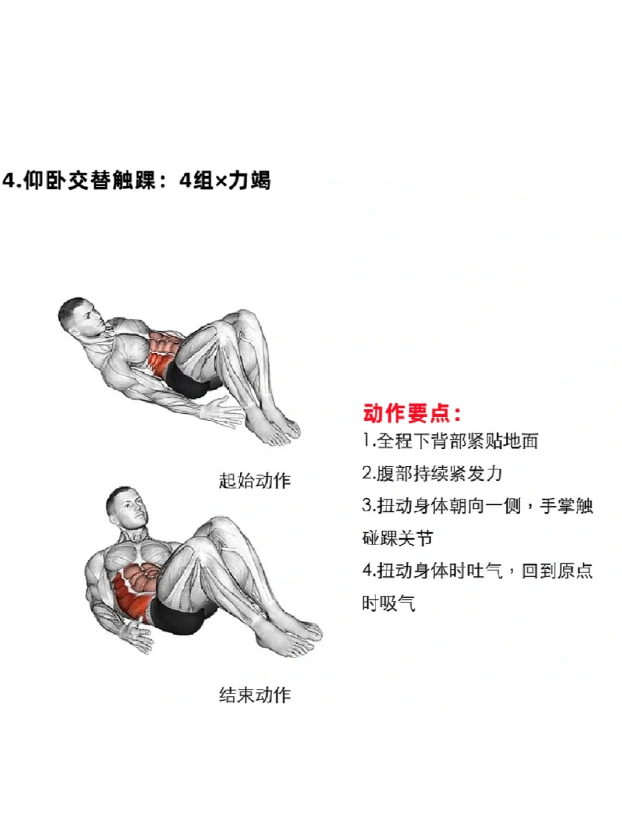 塑造完美身材，高效的腹肌訓(xùn)練方法，高效腹肌訓(xùn)練，塑造完美身材秘籍