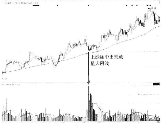 上海家化股票，深度解析與前景展望，上海家化股票深度解析及未來前景展望