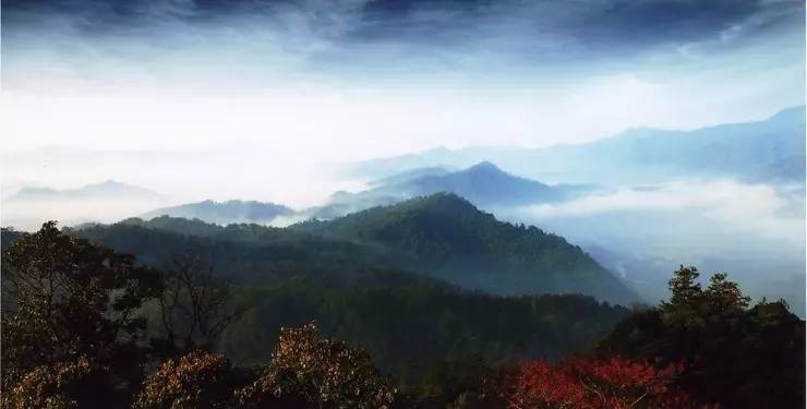 廈門天竺山國家森林公園，自然與文化的和諧交融，廈門天竺山國家森林公園，自然與文化和諧共融之地