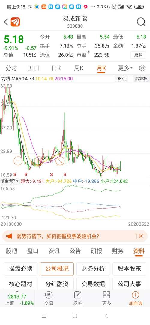 探索易成新能股票，市場潛力與未來展望，易成新能股票深度解析，市場潛力與未來展望