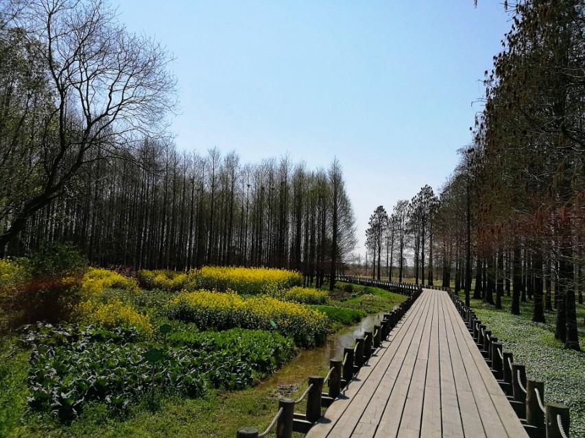 附近離我最近的公園，探索自然與健康的最佳場(chǎng)所，探索自然與健康的最佳場(chǎng)所，附近最近的公園之旅