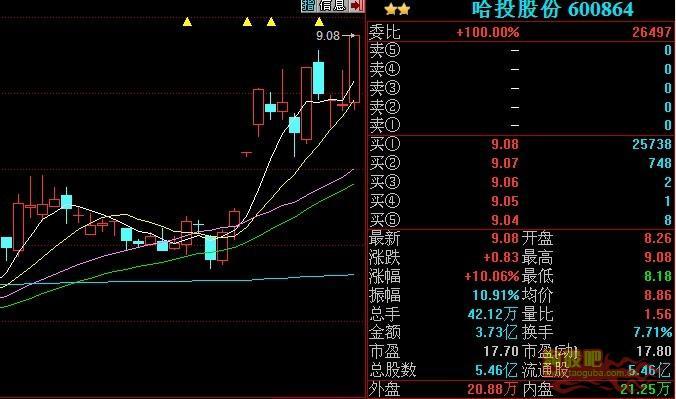 關(guān)于以834開頭的股票的全面解讀，關(guān)于股票代碼834的全面解讀與分析
