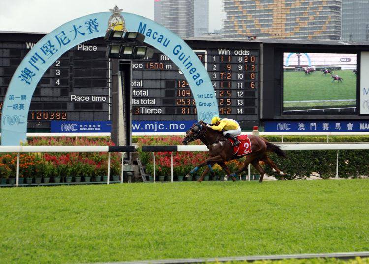 澳門賽馬會，歷史、文化與運(yùn)動的完美結(jié)合，澳門賽馬會，歷史、文化與運(yùn)動的絢麗交融