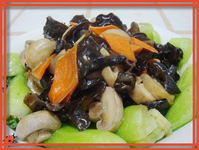家常素菜100道，美味與健康并存，家常素菜100道，美味與健康，雙享并行