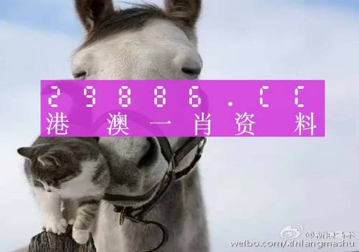 新澳門一肖一碼中恃馬，探索與解讀，澳門一肖一碼中恃馬，解讀與探索指南