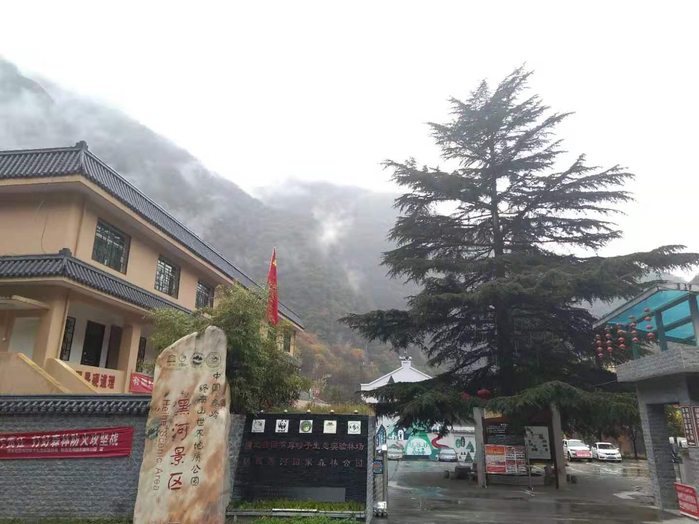 夢境追逐 第12頁
