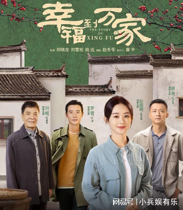 農(nóng)村電視劇大全集，深度解讀與賞析，農(nóng)村題材電視劇全集深度解讀與賞析