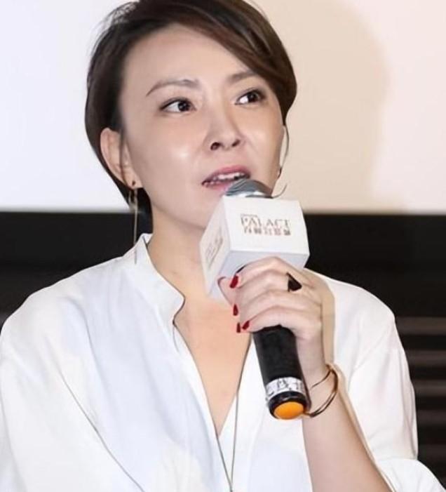 張嘉譯與劉威葳的關(guān)系，演藝界的深厚友情與卓越合作，張嘉譯與劉威葳，演藝界的深厚友情與卓越合作揭秘