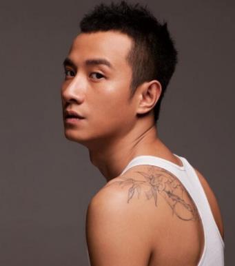 演員簡介——探尋璀璨星光的背后故事，璀璨星光背后的故事，演員簡介探索篇