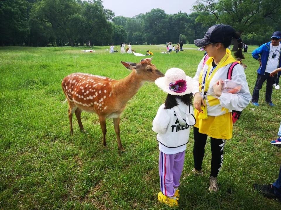 小學(xué)生必去的十個(gè)景點(diǎn)，探索世界的奇妙之旅，小學(xué)生必游十大景點(diǎn)，開啟世界探索之旅