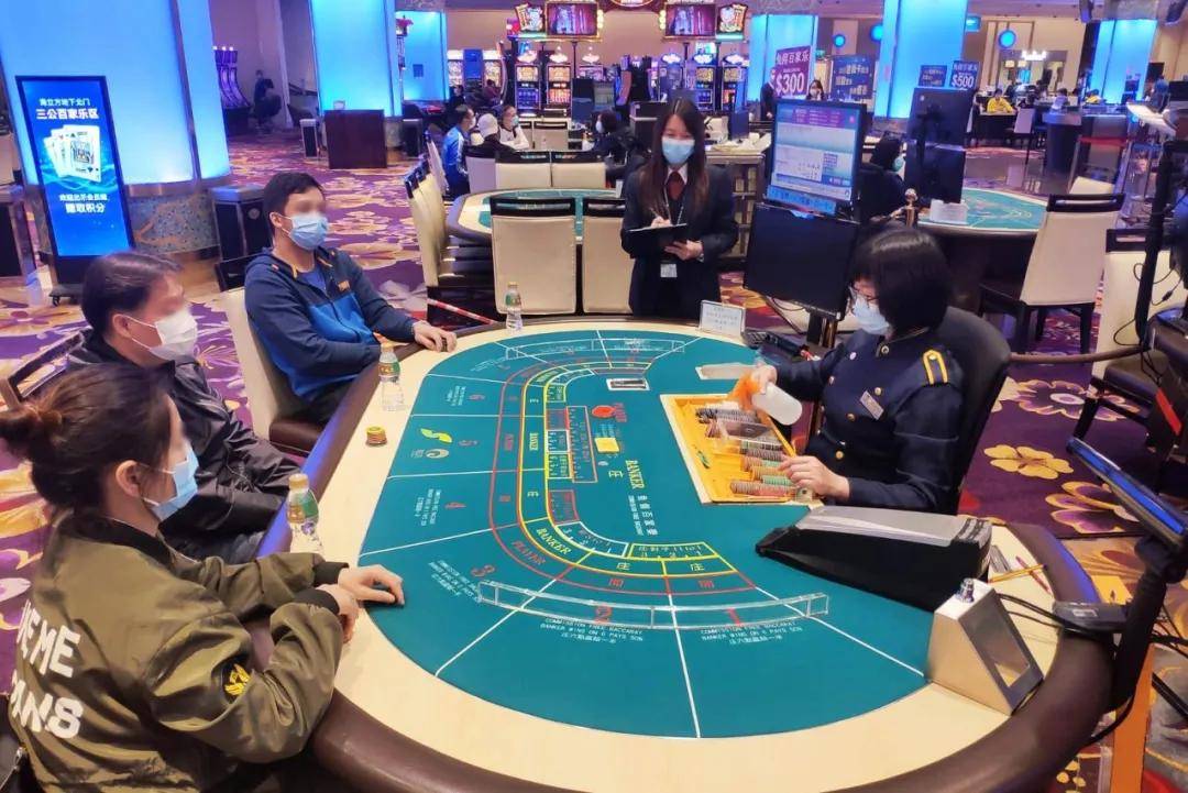澳門樂彩總站，探索彩票文化的魅力與樂趣，澳門樂彩總站，探索彩票文化的魅力與樂趣之旅