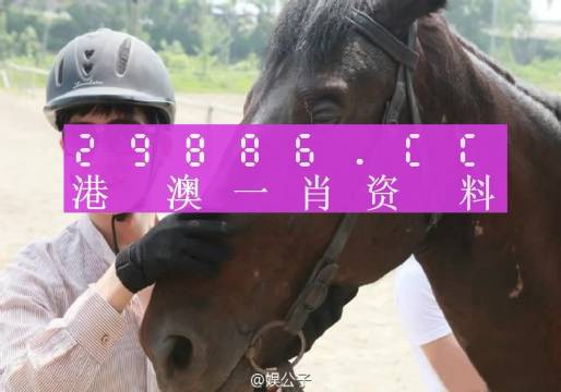 澳門一肖一碼一必中一肖同舟前進——探尋命運的奧秘與共同前行的力量，澳門一肖一碼必中奧秘，探尋命運與共同前行的力量