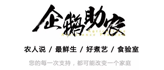大粵網新聞，引領廣東新聞潮流，傳遞時代聲音，大粵網新聞，引領廣東潮流，傳遞時代聲音的力量