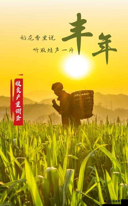 豐年經(jīng)繼拇與9m的寓意，豐年經(jīng)繼拇與9m，寓意深遠(yuǎn)的故事或啟示