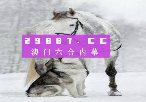 新奧門一肖一馬必中的奧秘與探索，新奧門一肖一馬必中的奧秘揭秘與探索