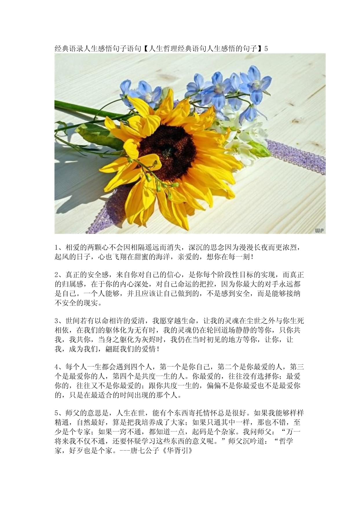 交友感悟人生哲理句子，探索人生的深度與廣度，交友之道，人生哲理啟示錄，探索生命深度與廣度之旅